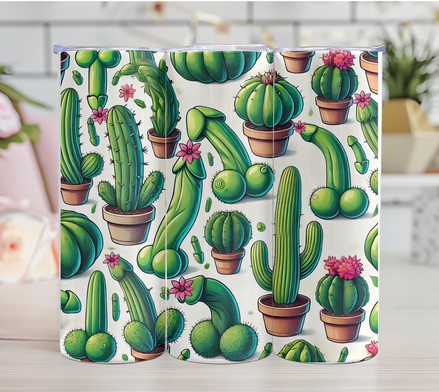 gros cactus 18+