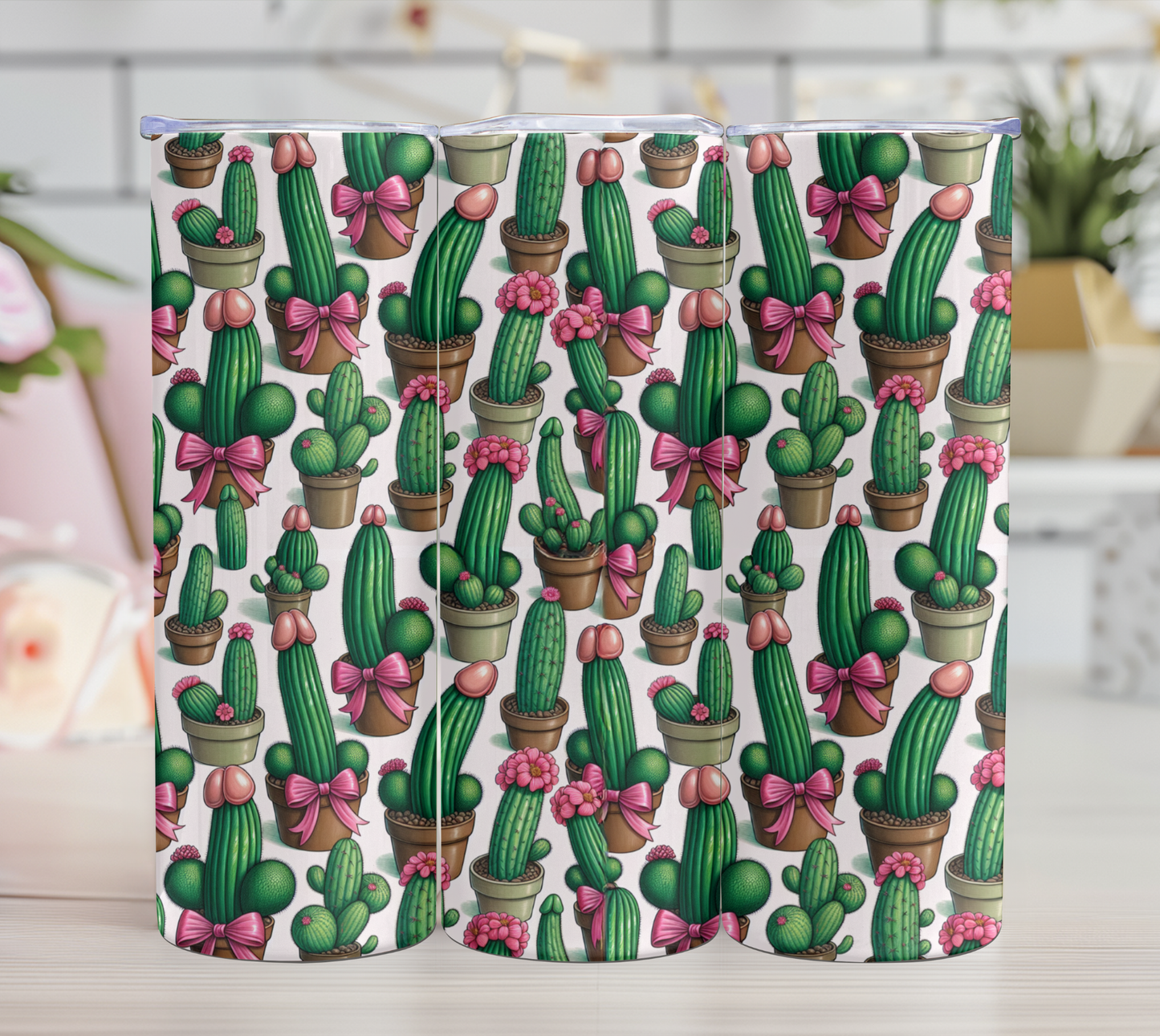 cactus en pot 18+