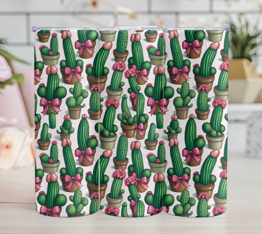 cactus en pot 18+