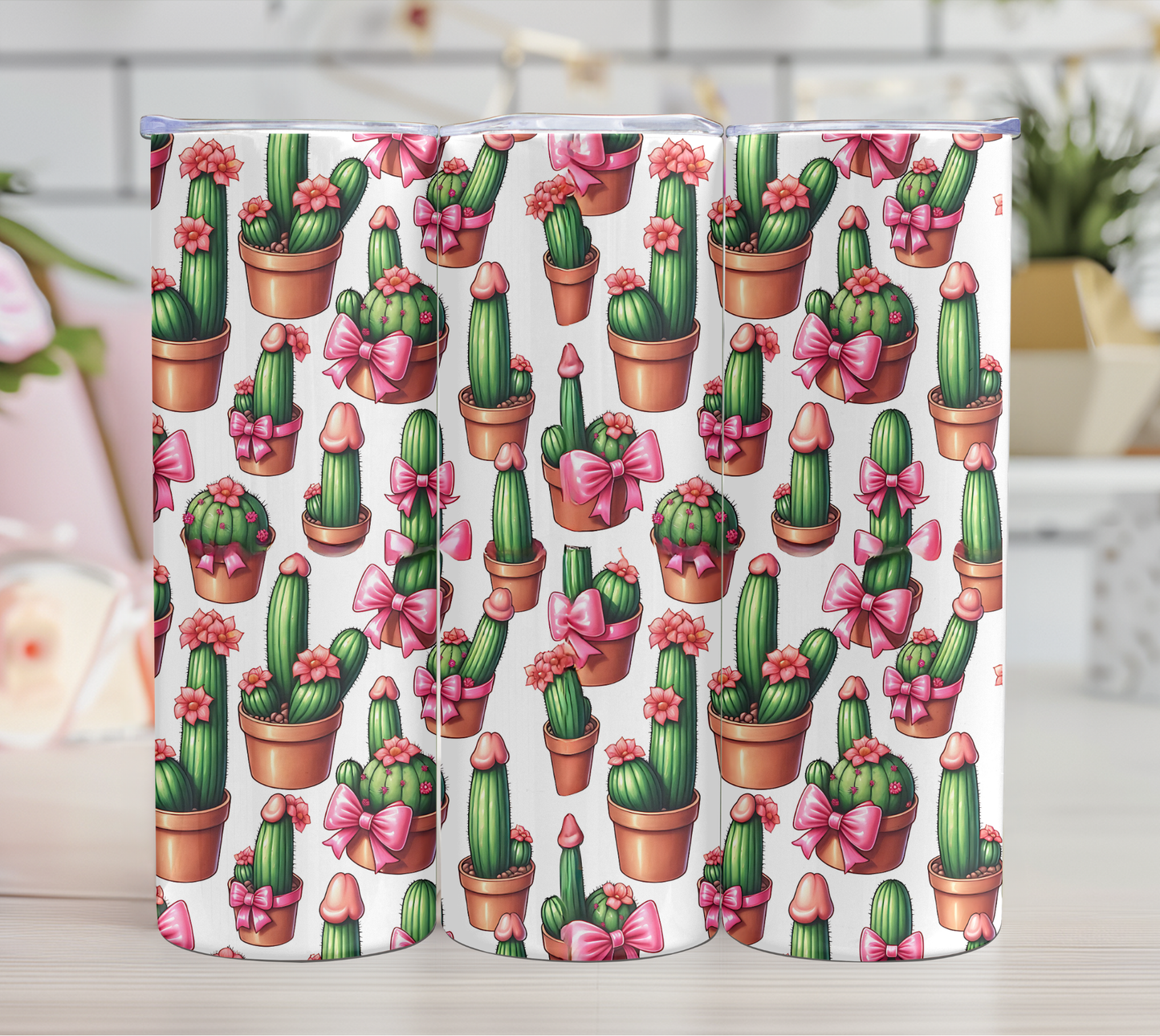 cactus en pot rose 18+