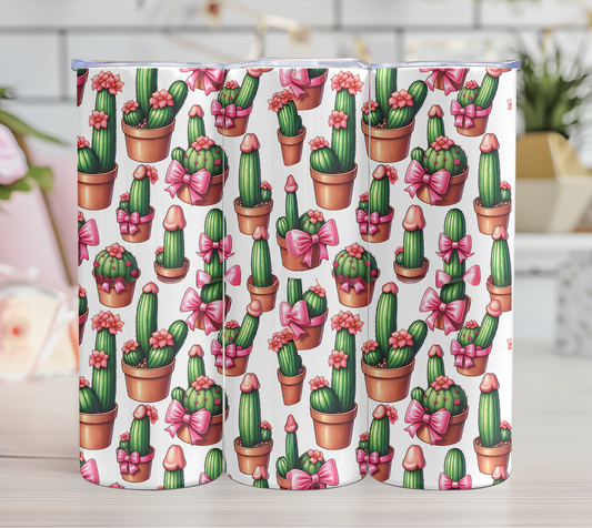 cactus en pot rose 18+